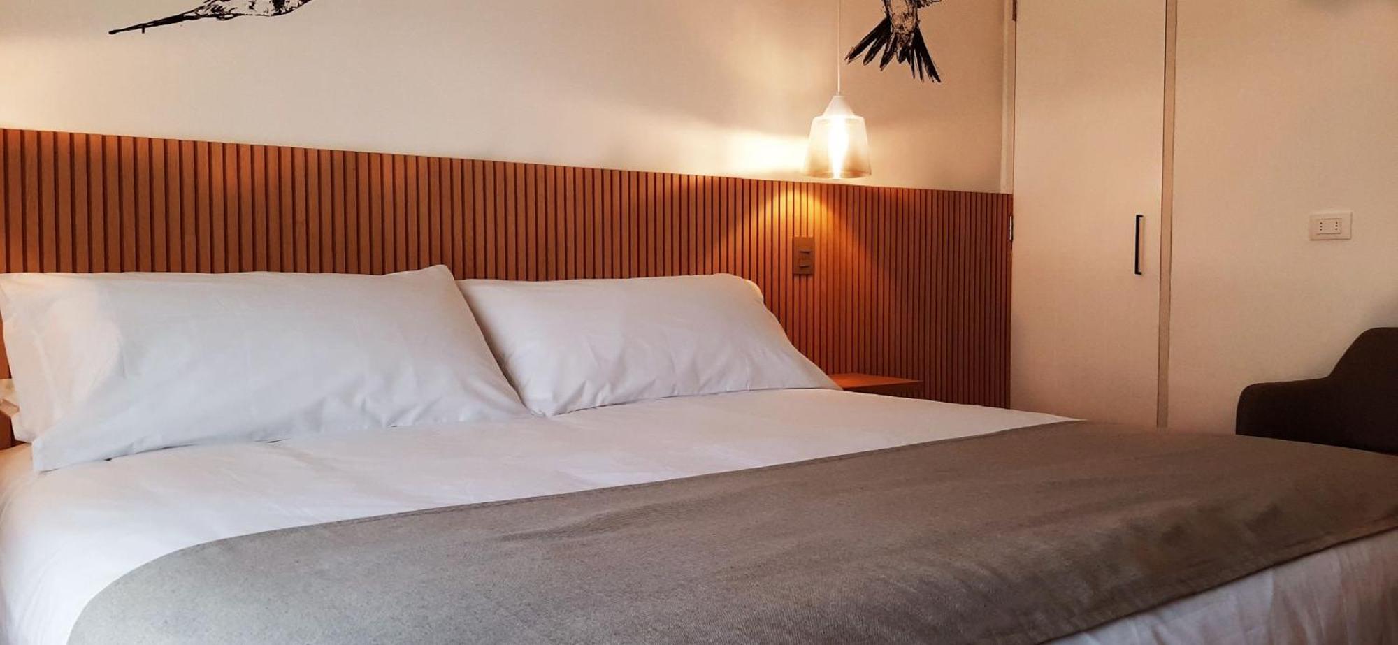 Living Vaisse Apartment ซานติอาโก ภายนอก รูปภาพ
